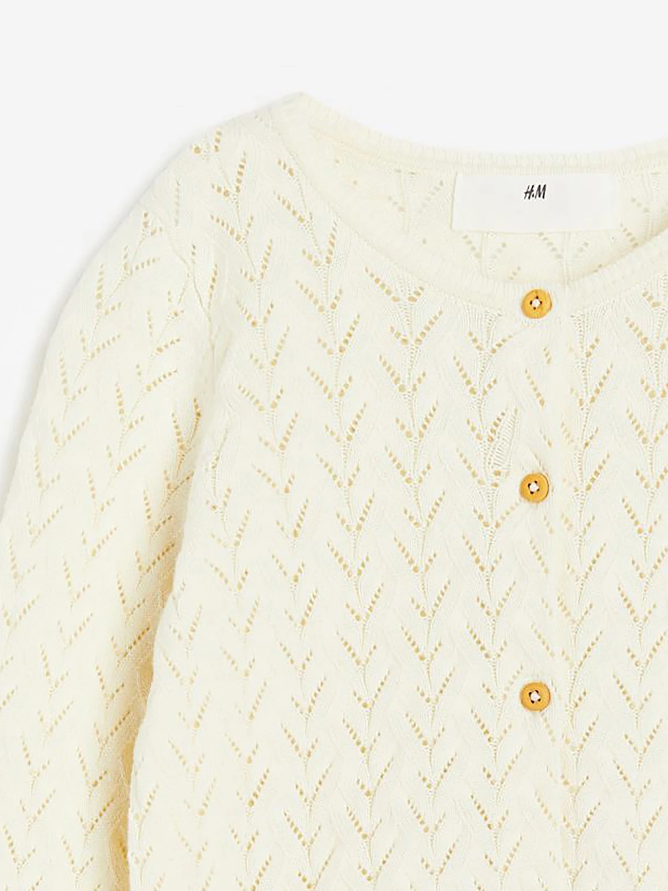 Свитры и кардиганы H&M модель 72070 Фото