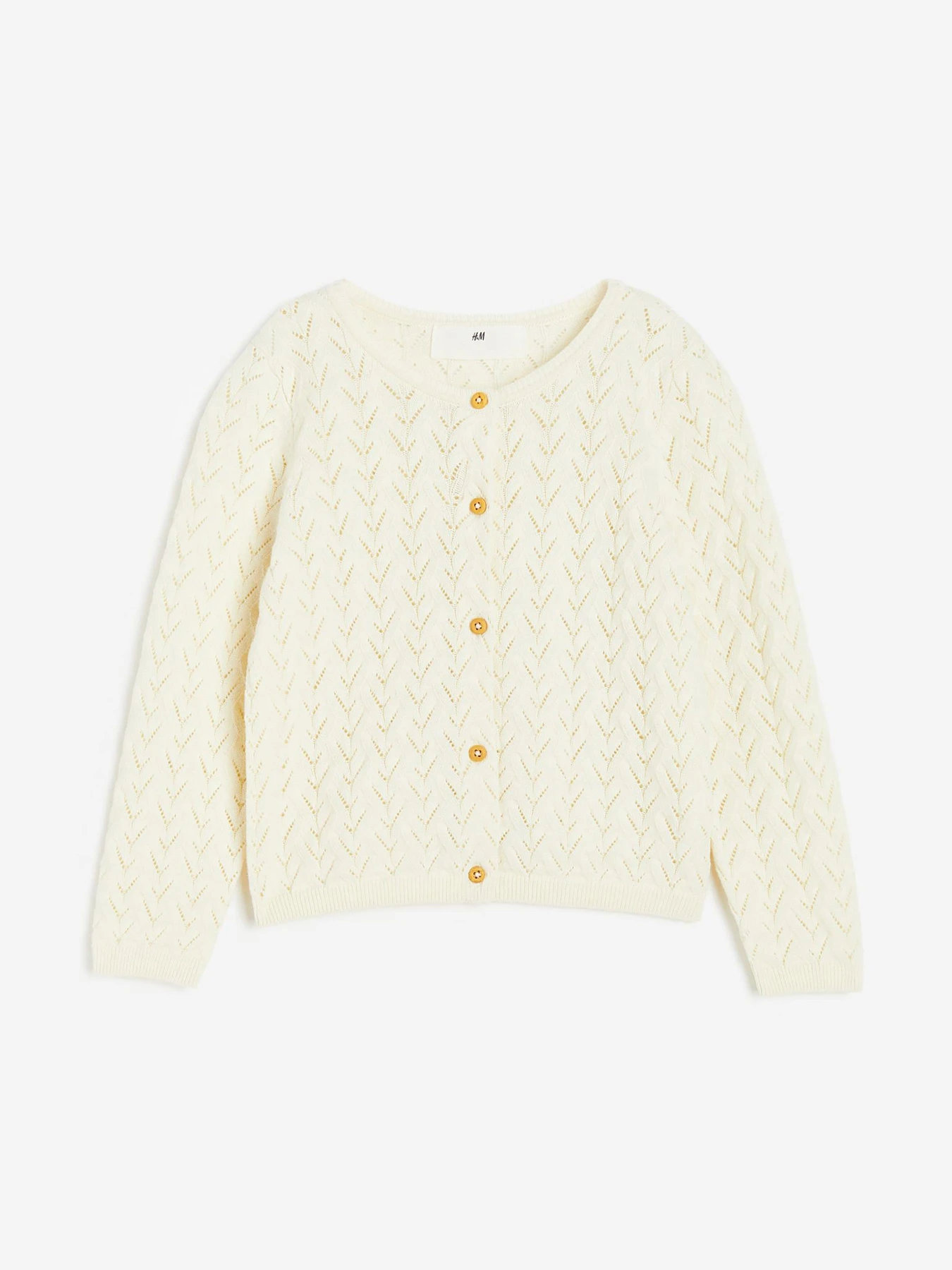 Свитры и кардиганы H&M модель 72070 Фото