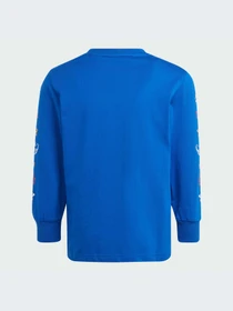 Худи и свитшоты Adidas модель IS3225 Фото