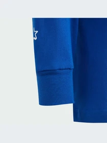 Худи и свитшоты Adidas модель IS3225 Фото