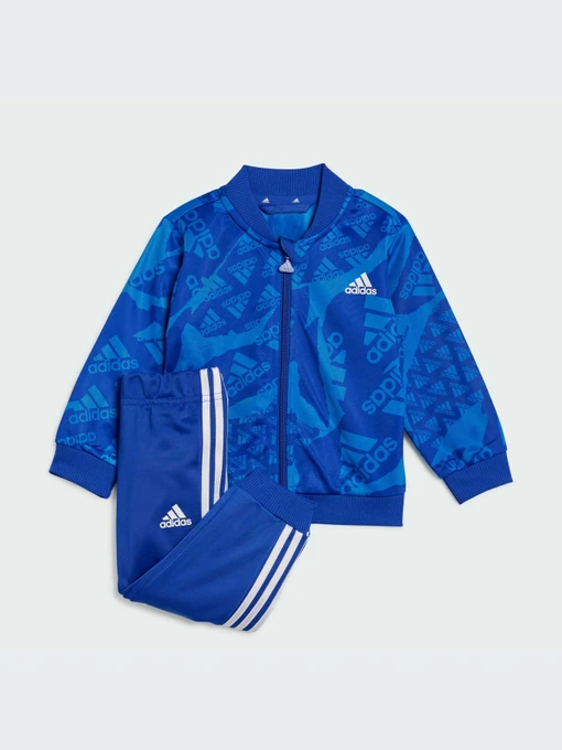 Костюми Adidas модель IQ4079 Фото