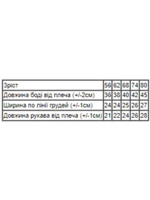Одежда для младенцев Носи своє модель 5010-023-33-4-molochnij-bichok Фото