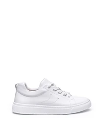 Кеди Alex Bell модель 1171433 Фото