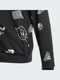 Худи и свитшоты Adidas модель IN3300 Фото