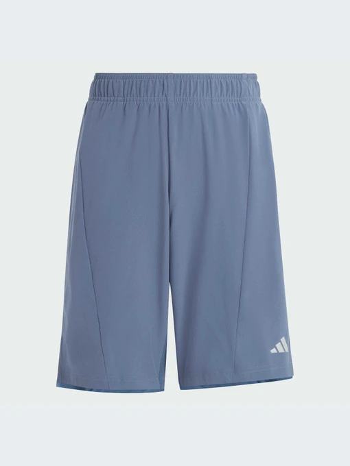 Шорты Adidas модель IR7555 Фото