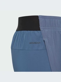 Шорты Adidas модель IR7555 Фото