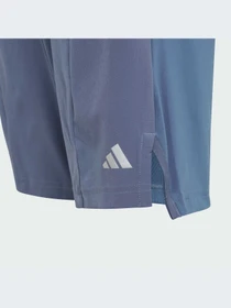 Шорты Adidas модель IR7555 Фото