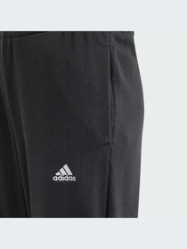 Брюки Adidas модель IN3299 Фото