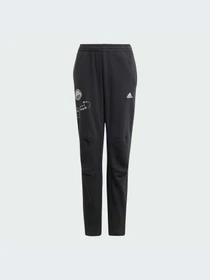 Брюки Adidas модель IN3299 Фото