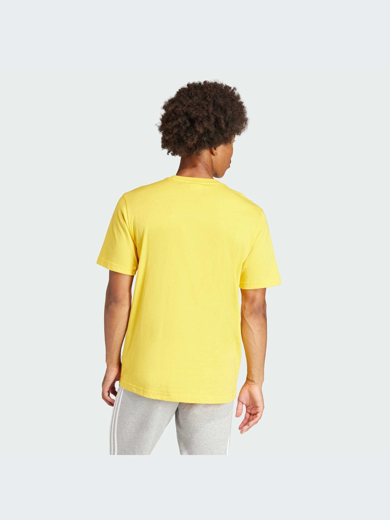 Футболки і поло Adidas Adicolor модель IR7977 Фото
