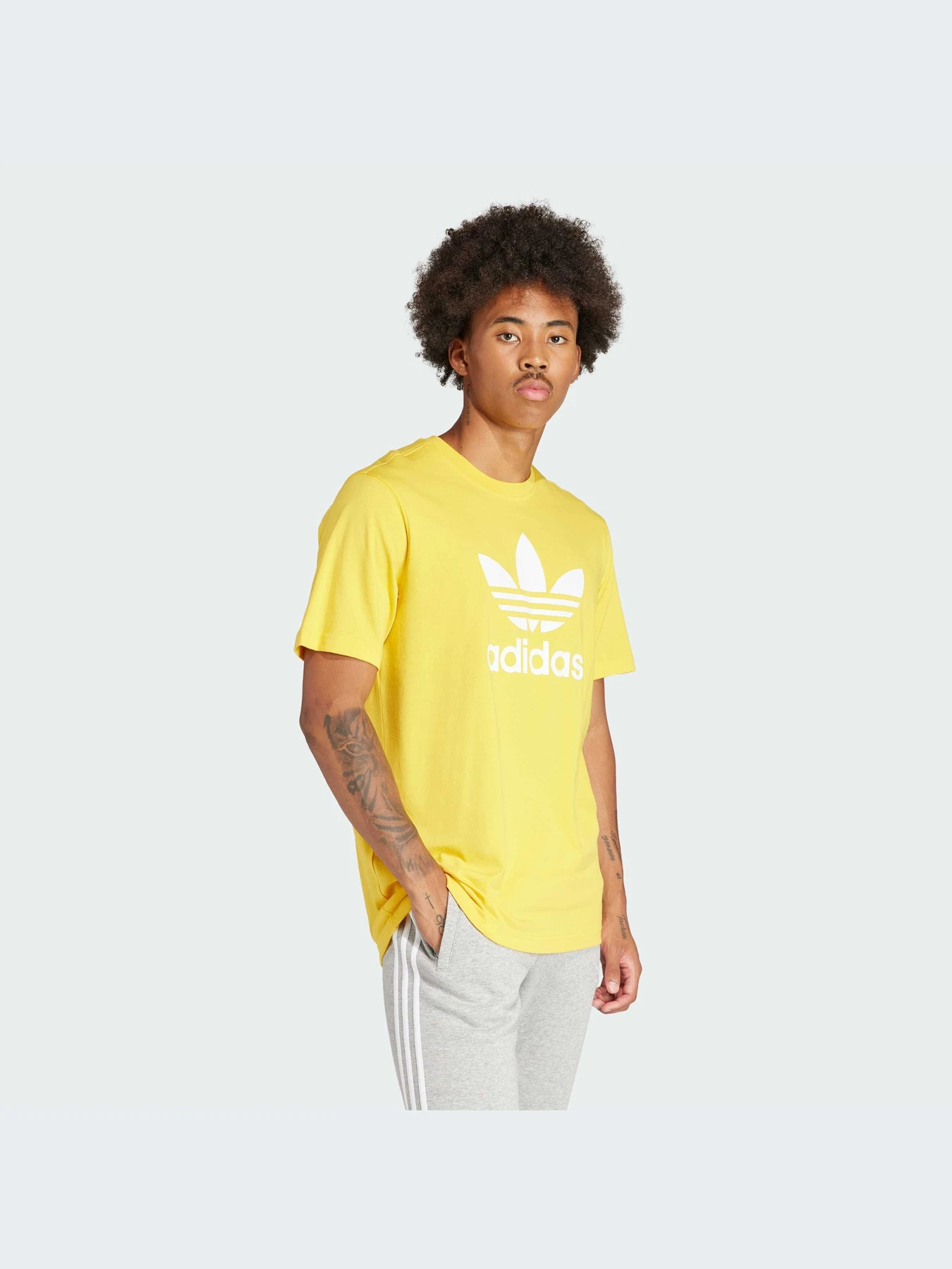 Футболки і поло Adidas Adicolor модель IR7977 Фото