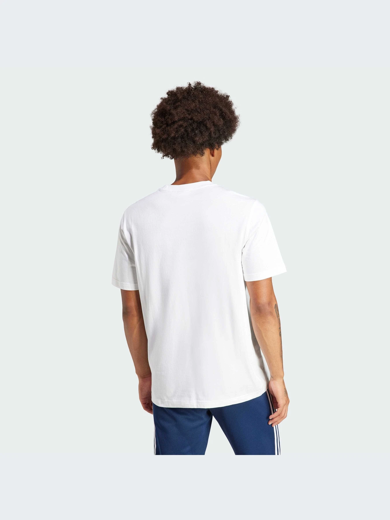 Футболки і поло Adidas Adicolor модель IV5353 Футболки і поло Adidas Adicolor модель IV5353 Фото