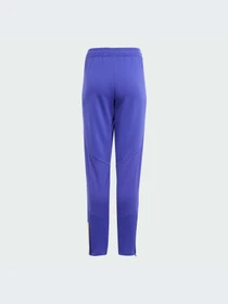 Брюки Adidas Tiro модель IQ0541 Фото