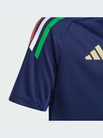 Футболки и поло Adidas Tiro модель IQ2171 Фото