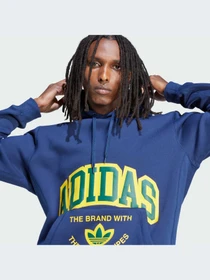 Худи и свитшоты Adidas Graphics модель IS0235 Фото