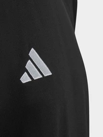 Футболки и поло Adidas Tiro модель HS3622 Фото