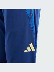 Брюки Adidas Tiro модель IQ2161 Фото