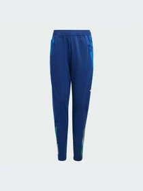 Брюки Adidas Tiro модель IQ2161 Фото