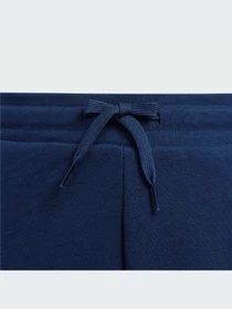 Шорты Adidas Adicolor модель IJ9732 Фото