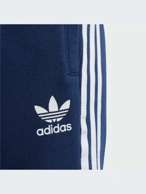 Шорты Adidas Adicolor модель IJ9732 Фото