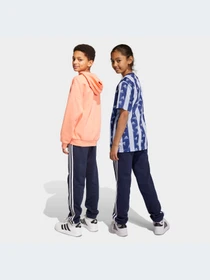 Штани Adidas модель IC0601 Фото