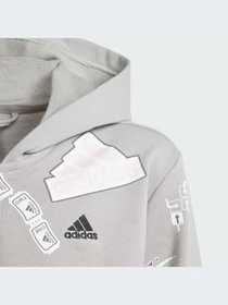 Худи и свитшоты Adidas модель IS3755 Фото