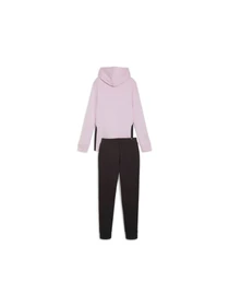 Костюмы PUMA Classic Hooded Tracksuit модель 673699 Фото