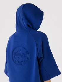 Худі та світшоти Lacoste модель SF222020M Фото