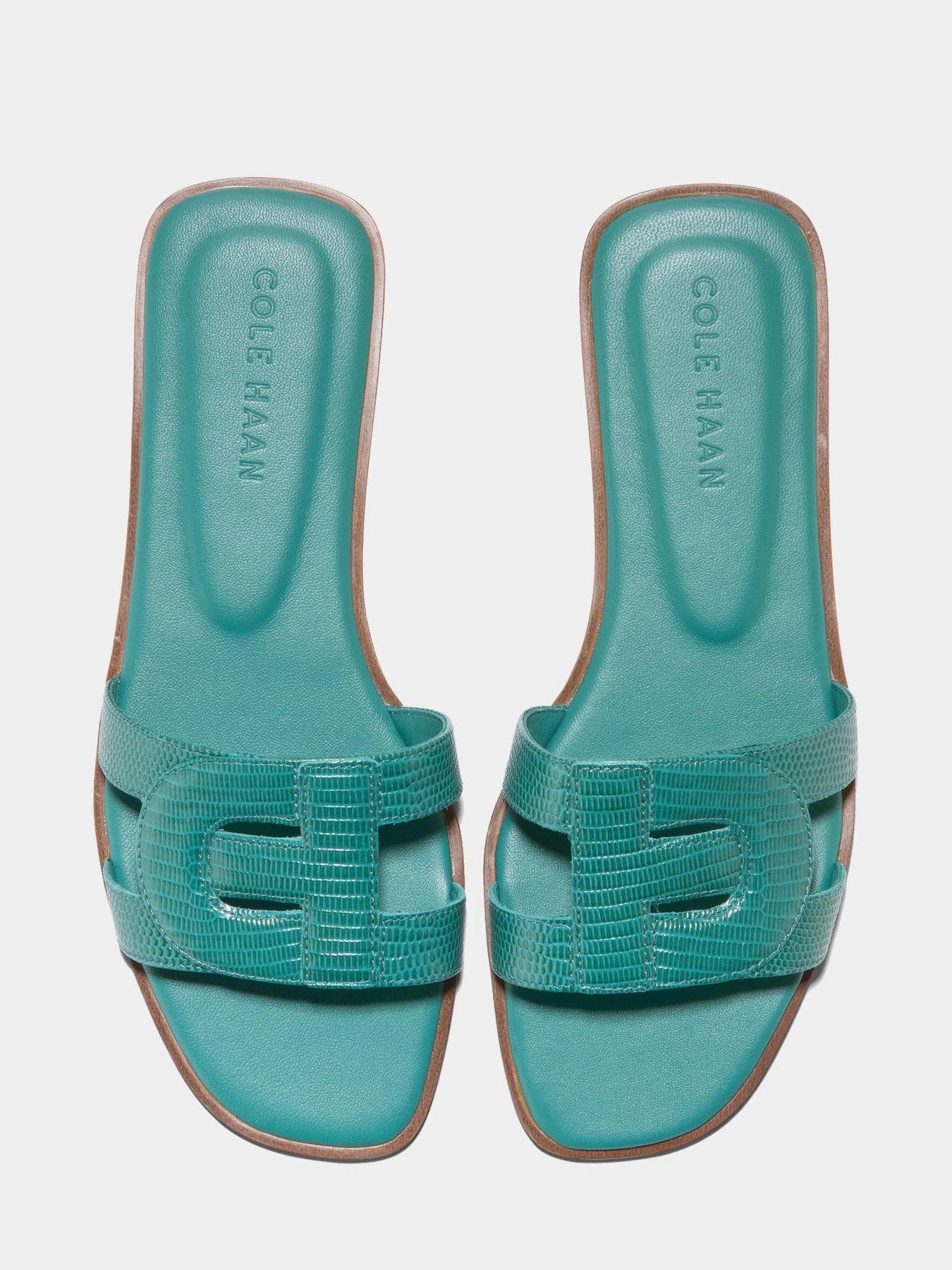 Шлёпанцы Cole Haan модель W30796 Фото