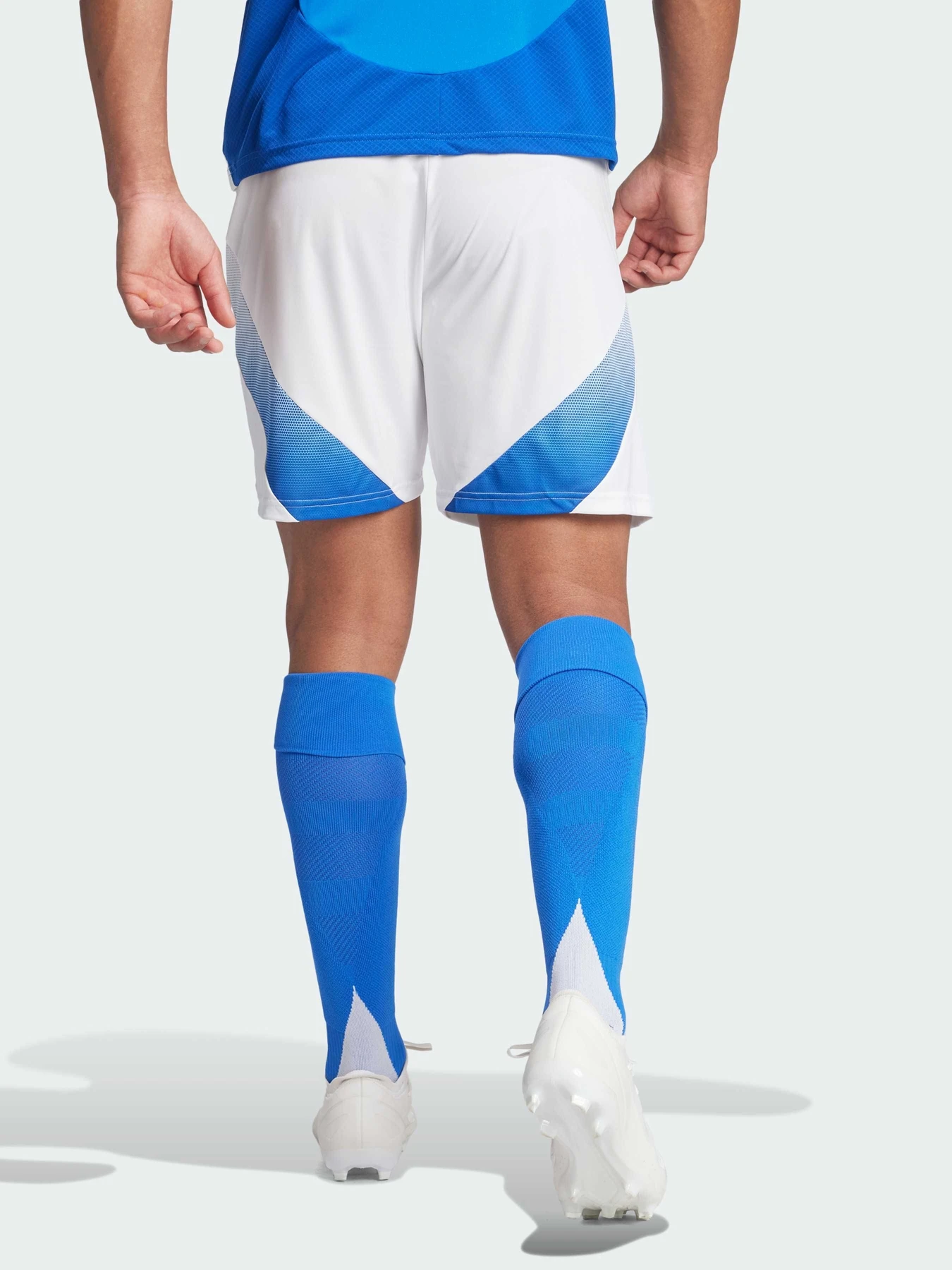 Шорты Adidas модель IQ0494 Шорты Adidas модель IQ0494 Фото