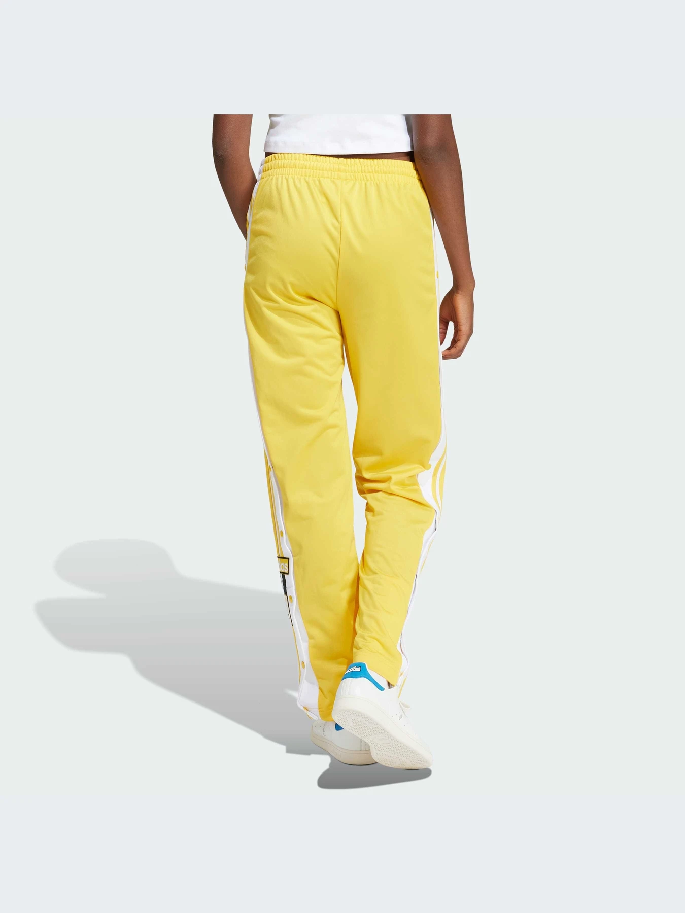 Брюки Adidas Adicolor модель IP0622 Фото