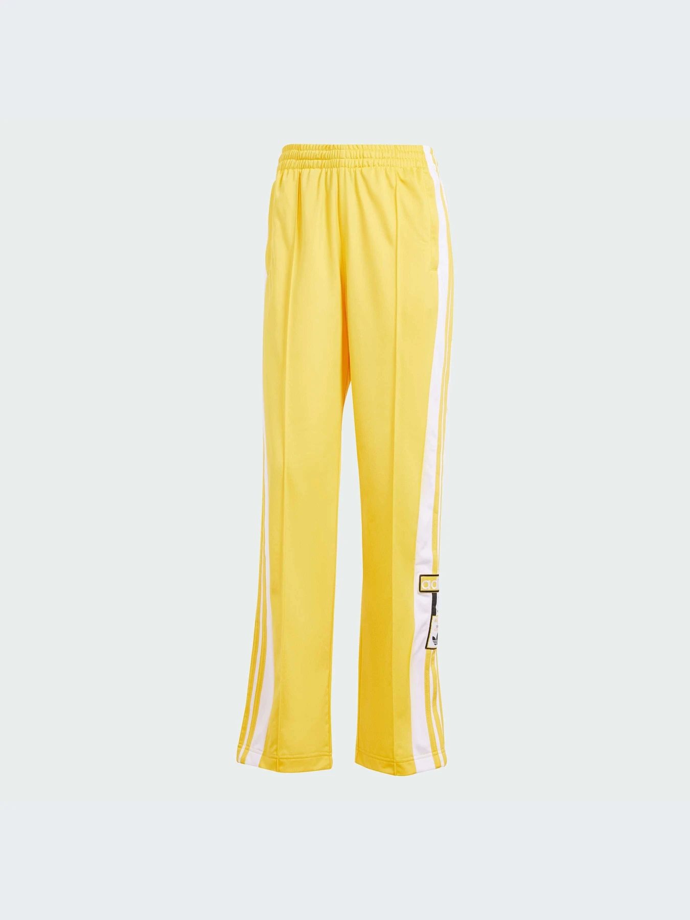 Брюки Adidas Adicolor модель IP0622 Фото