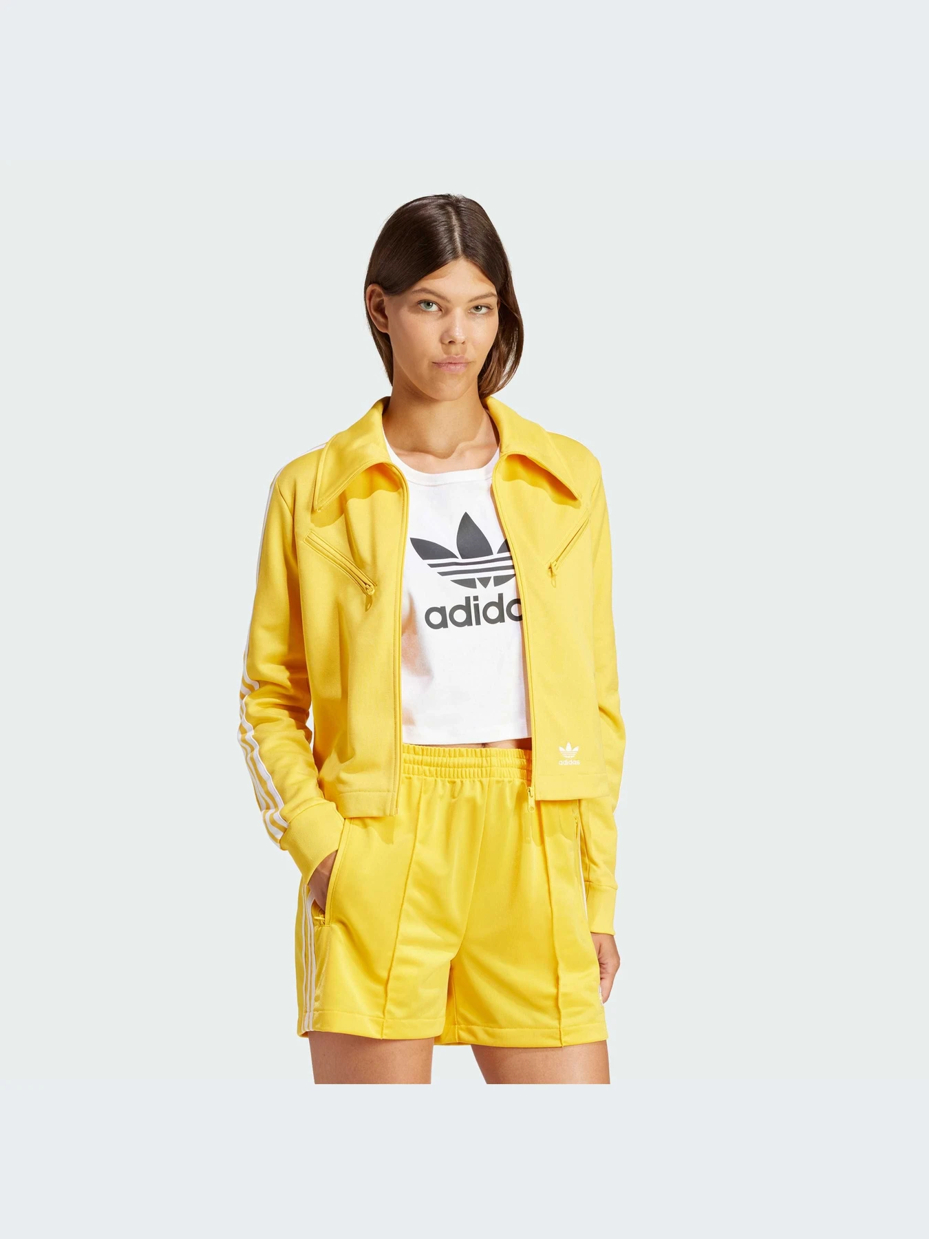 Худи и свитшоты Adidas Adicolor модель IP0631 Худи и свитшоты Adidas Adicolor модель IP0631 Фото