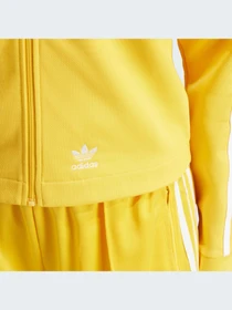 Худи и свитшоты Adidas Adicolor модель IP0631 Фото