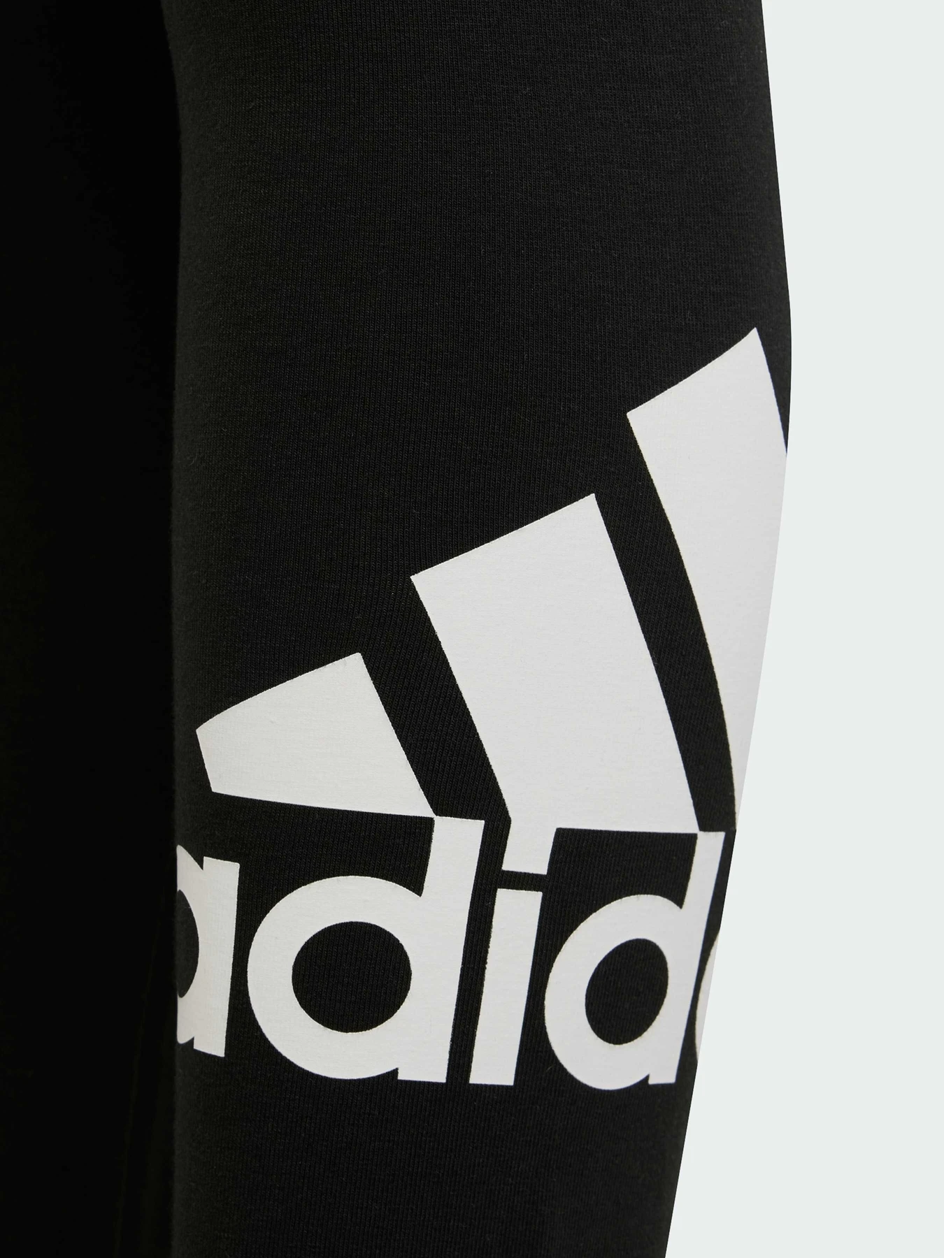 Штани Adidas модель IC3164 Фото