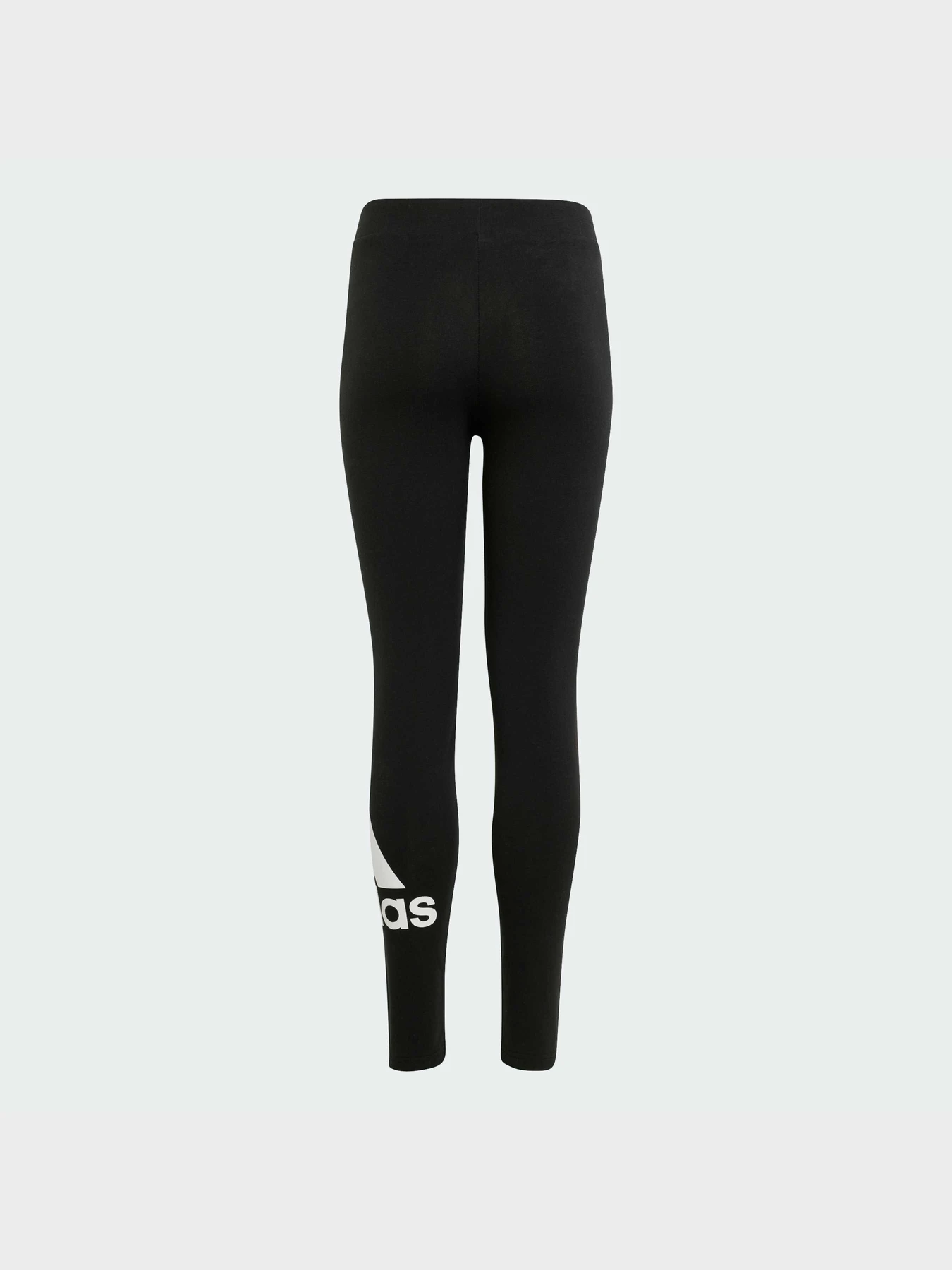 Штани Adidas модель IC3164 Фото
