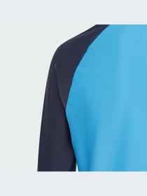 Худи и свитшоты Adidas Рашгард для плавання модель IQ4003 Фото
