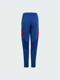 Брюки Adidas Tiro модель IP6408 Фото