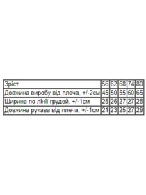 Одяг для немовлят Носи своє модель 5058-4-elektrik-sobachka Фото