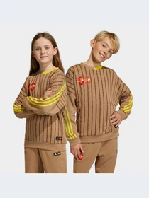 Худи и свитшоты Adidas Lego модель HB4467 Фото