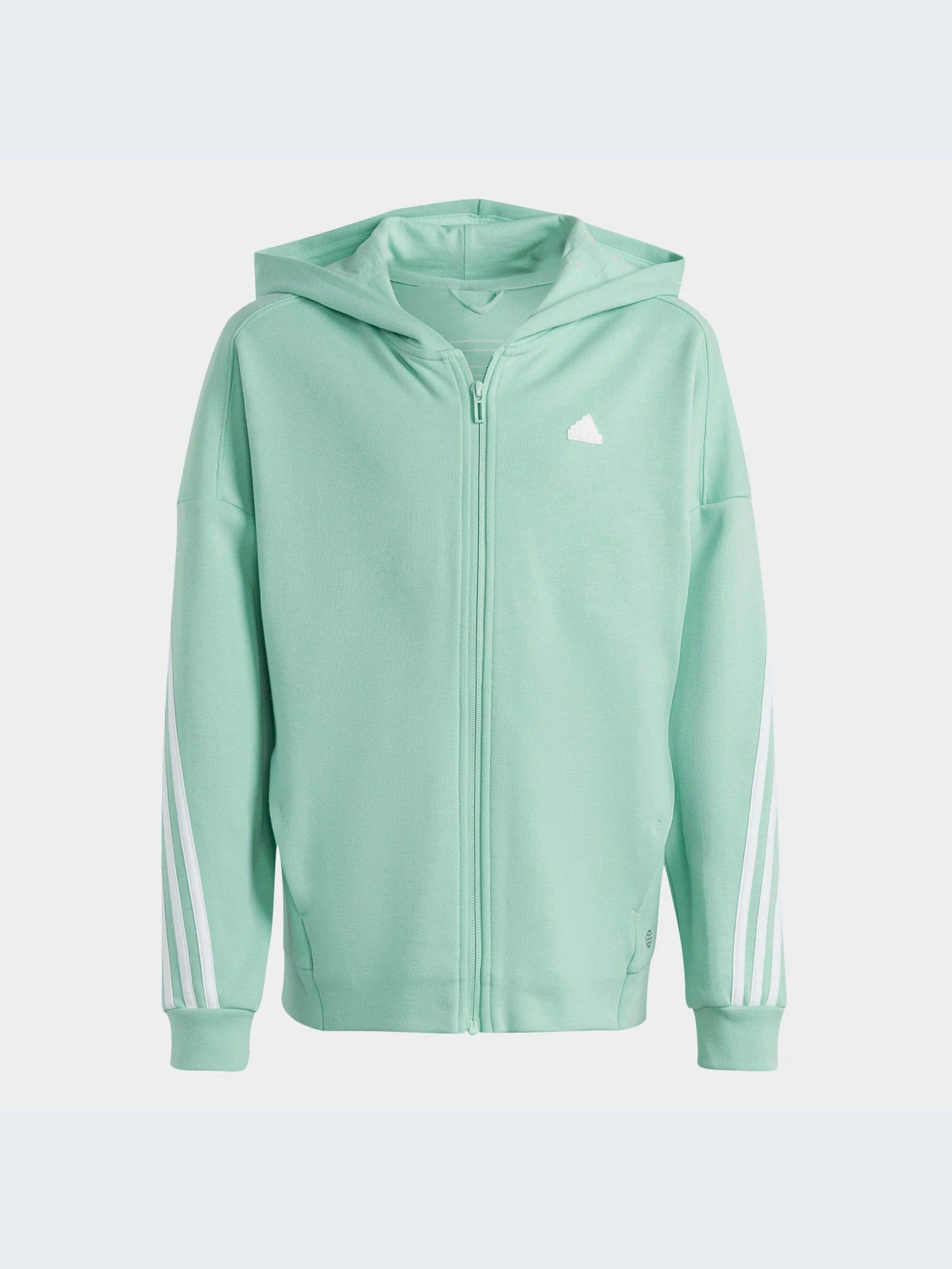 Худи и свитшоты Adidas Культовые силуэты модель HR6319 Худи и свитшоты Adidas Культовые силуэты модель HR6319 Фото