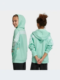 Худи и свитшоты Adidas Культовые силуэты модель HR6319 Фото
