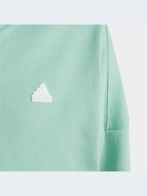 Худи и свитшоты Adidas Культовые силуэты модель HR6319 Фото