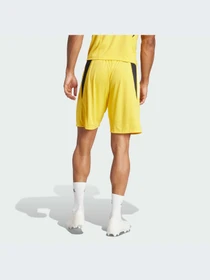 Шорты Adidas модель IQ0870 Фото