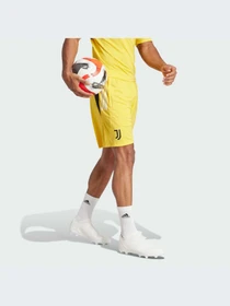 Шорты Adidas модель IQ0870 Фото