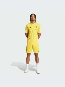 Шорты Adidas модель IQ0870 Фото