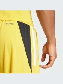 Шорты Adidas модель IQ0870 Фото