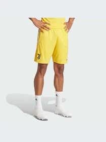 Шорты Adidas модель IQ0870 Фото
