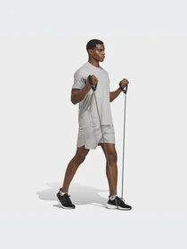 Шорты Adidas модель IC2096 Фото
