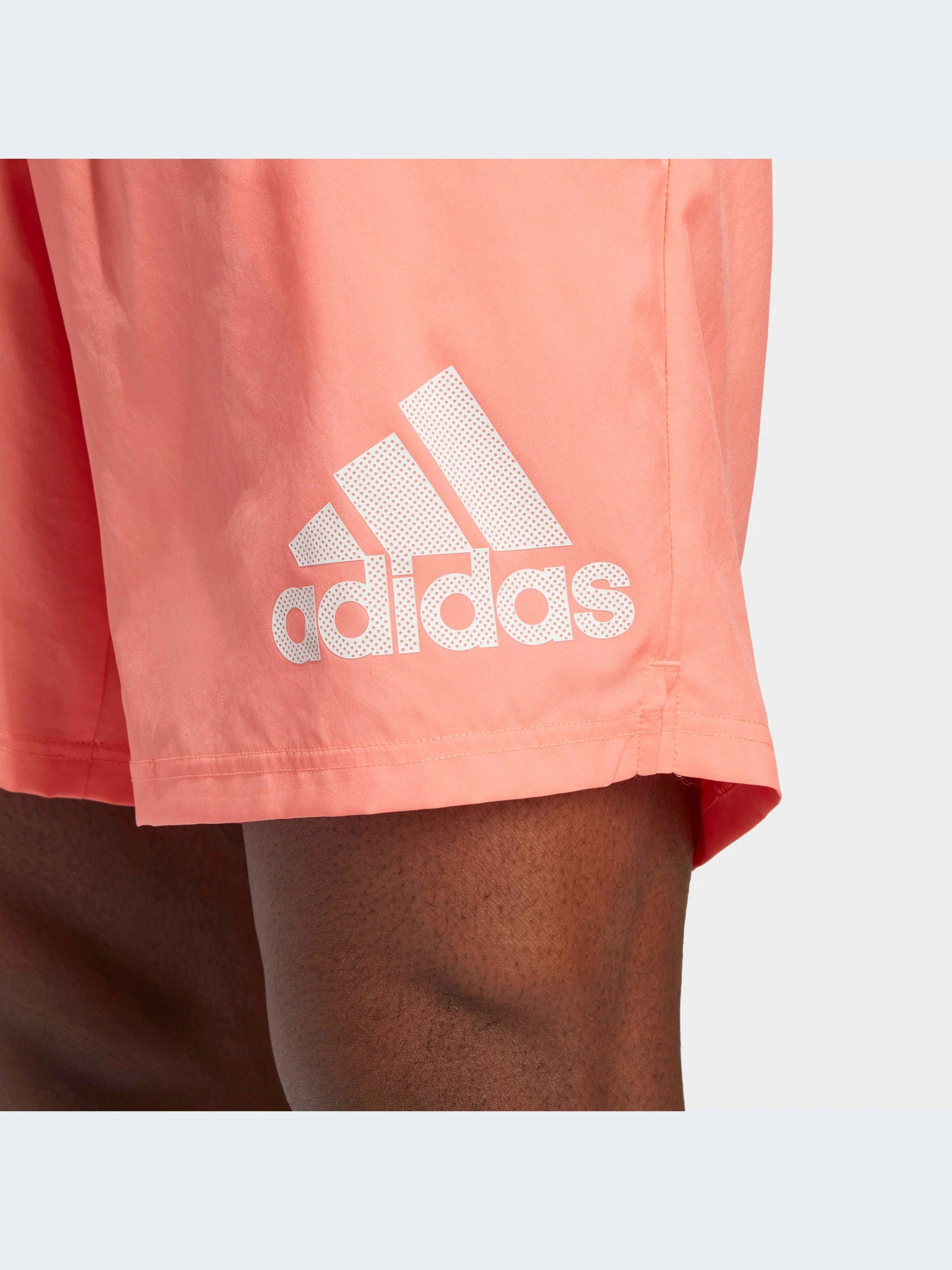 Шорты Adidas модель IC7638 Фото
